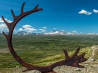 viewpoint SNØHETTA